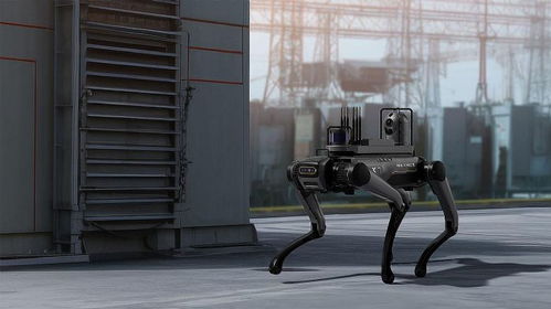 視源股份亮相世界制造業大會，四足機器人領銜創新產品集中展示