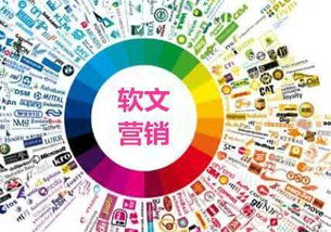 新品牌網(wǎng)絡(luò)推廣實戰(zhàn)指南 借助專業(yè)互聯(lián)網(wǎng)技術(shù)服務(wù)，高效突圍