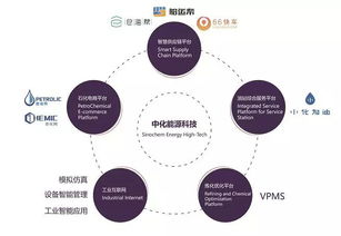 3年營收復(fù)合增長率提升5倍 中化能源科技提供數(shù)字石化新路徑